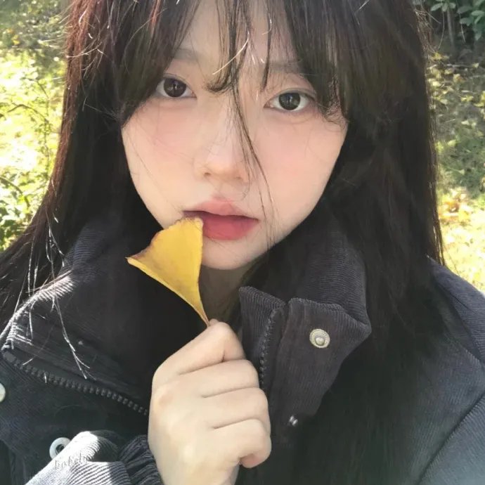 最后的骑士