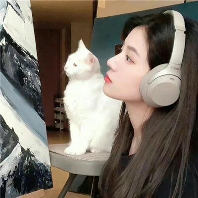 敌对同谋
